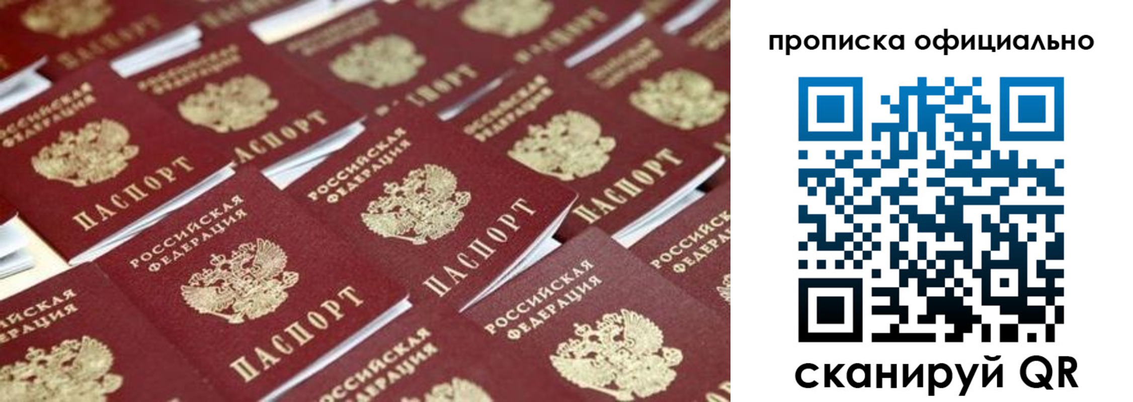 прописка гарантия в Шуе